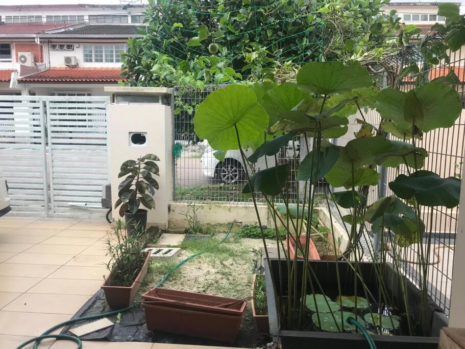 Terrace House Near Stulang Laut Ciq Midvalley Ksl For 7Pax Джохор-Бару Экстерьер фото